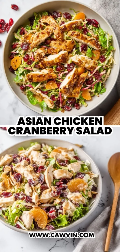 Asian Chicken Cranberry Salad 2 1 - Easy Peasy Recipes