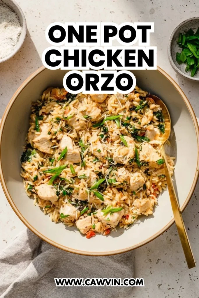 One Pot Chicken Orzo - Easy Peasy Recipes
